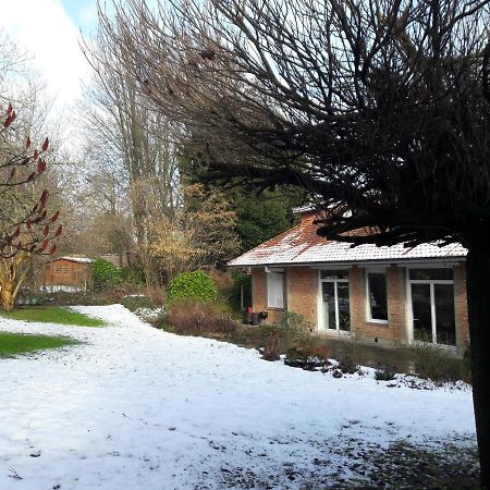 Un Grand Jardin En Ville. Chez Guy Uccle 外观 照片