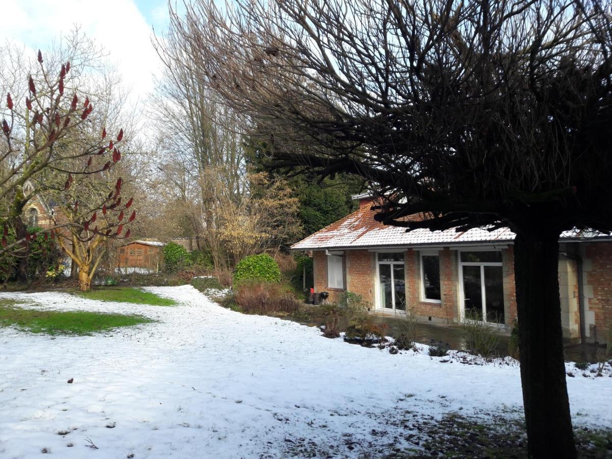 Un Grand Jardin En Ville. Chez Guy Uccle 外观 照片
